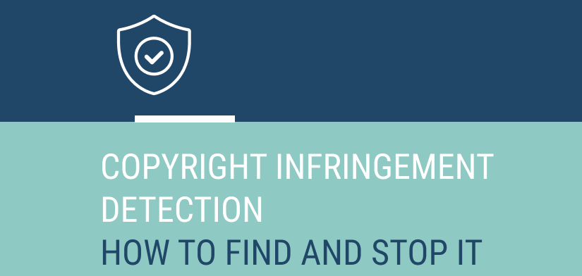 Copyright Infringement Detection: How to Find and Stop It